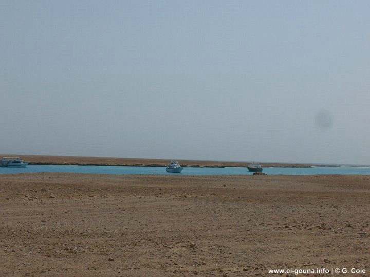 Green Gouna Tawila Island 029